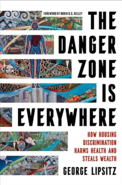 Book cover of: Danger Zone Is Everywhere. By: George Lipsitz
