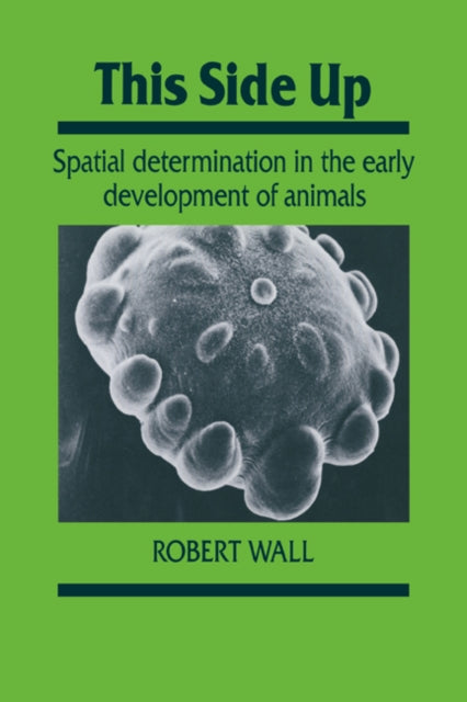 Book cover of: This Side Up. By: Robert Wall