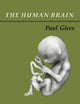 Book cover of: Human Brain. By: Paul Glees