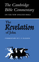 Book cover of: Revelation of John. By: T. F. Glasson