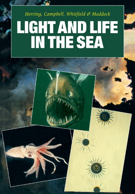 Book cover of: Light and Life in the Sea. By: Peter J. Herring