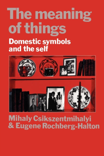 Book cover of: Meaning of Things
