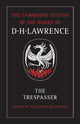 Book cover of: Trespasser