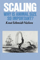 Book cover of: Scaling