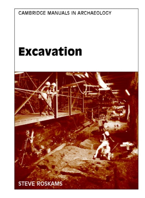 Book cover of: Excavation