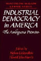 Book cover of: Industrial Democracy in America