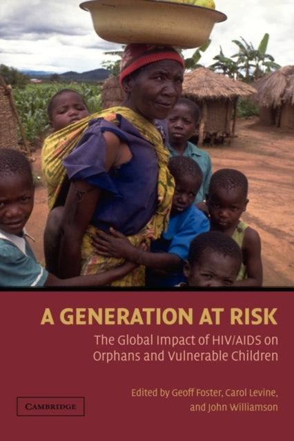 Book cover of: Generation at Risk. By: John Williamson