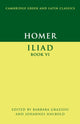 Book cover of: Homer: Iliad Book VI