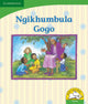 Book cover of: Ngikhumbula Gogo (Siswati). By: Dianne Stewart