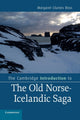 Book cover of: Cambridge Introduction to the Old Norse-Icelandic Saga. By: Margaret Clunies Ross