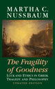 Book cover of: Fragility of Goodness