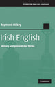 Book cover of: Irish English. By: Raymond Hickey