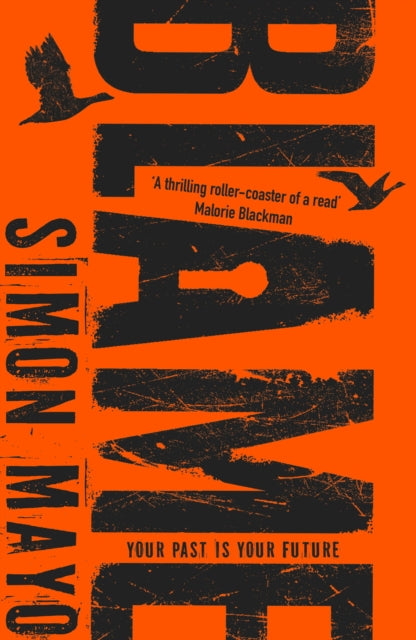 Book cover of: Blame. By: Simon Mayo