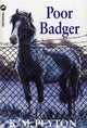 Book cover of: Poor Badger. By: K. M. Peyton
