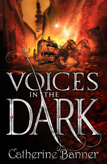 Book cover of: Voices in the Dark. By: Catherine Banner