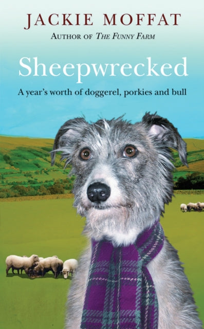 Book cover of: Sheepwrecked. By: Jackie Moffat
