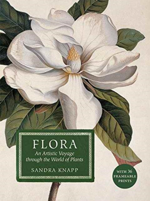 Book cover of: Flora: An Artistic Voyage Through the World of Plants. By: Sandy Knapp