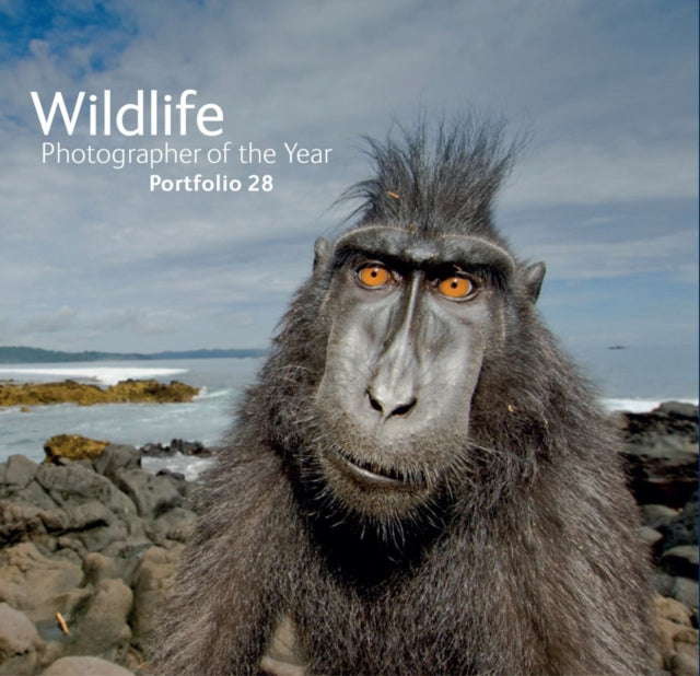 Book cover of: Wildlife Photographer of the Year: Portfolio 28