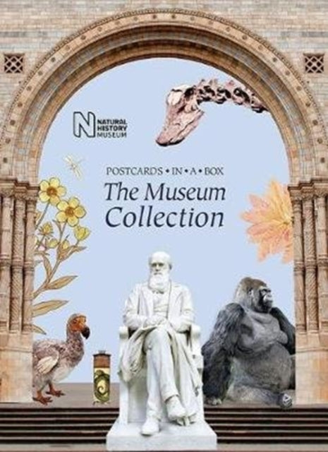 Book cover of: Museum Collection