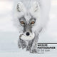 Book cover of: Wildlife Photographer of the Year Desk Diary 2021. By: Natural History Museum