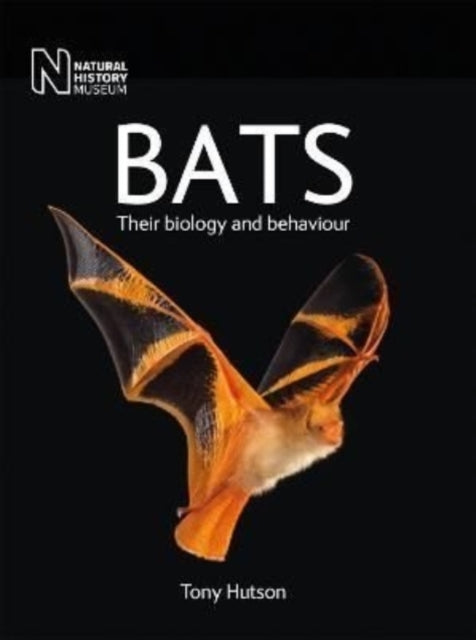 Book cover of: Bats. By: Tony Hutson