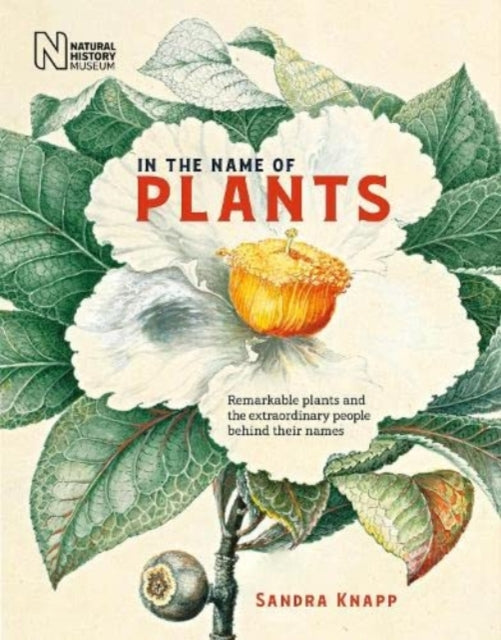 Book cover of: In the Name of Plants. By: Sandra Knapp