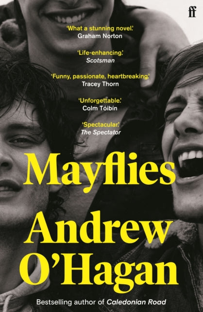 Book cover of: Mayflies