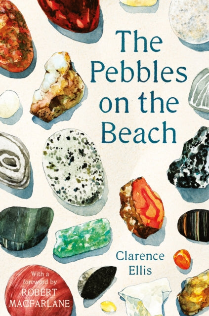 Pebbles on the Beach 9780571347933 Clarence Ellis