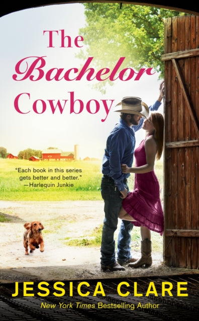 Book cover of: Bachelor Cowboy