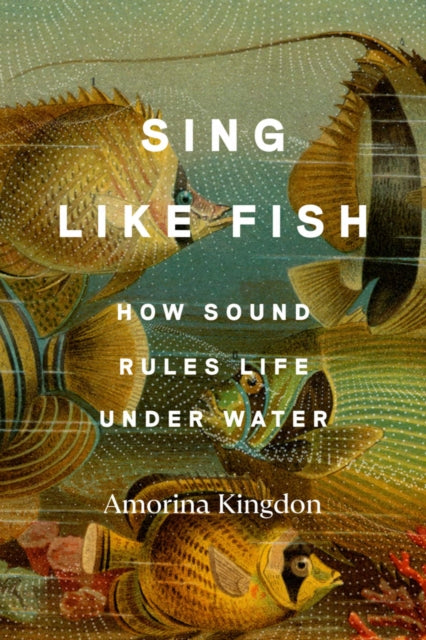 Book cover of: Sing Like Fish. By: Amorina Kingdon