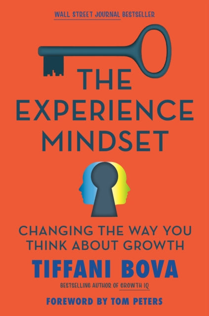 Book cover of: Experience Mindset. By: Tiffani D. Bova