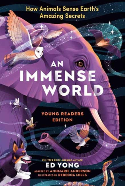 Book cover of: Immense World, An
