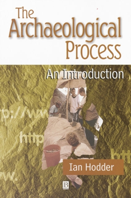 Book cover of: Archaeological Process