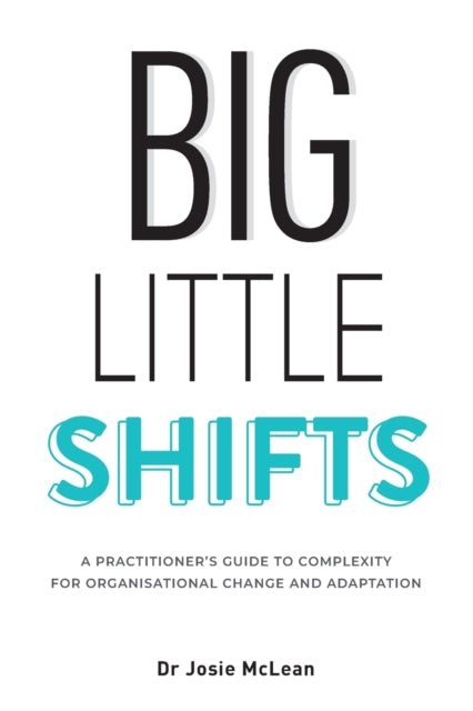 Book cover of: Big Little Shifts