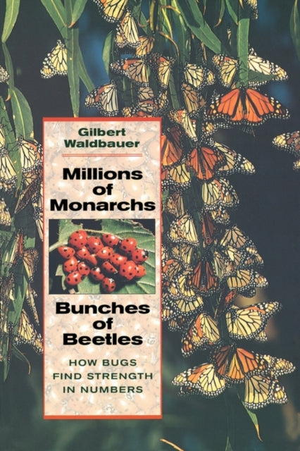 Book cover of: Millions of Monarchs, Bunches of Beetles. By: Gilbert Waldbauer