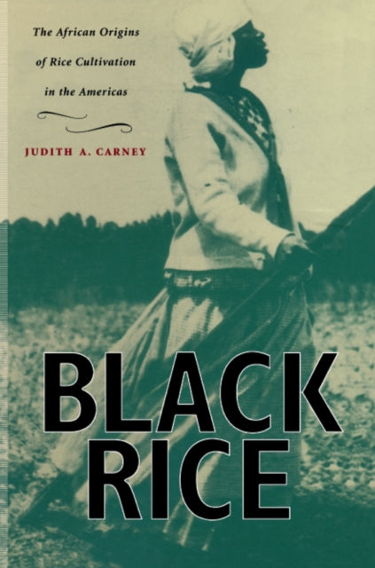 Book cover of: Black Rice. By: Judith Ann Carney
