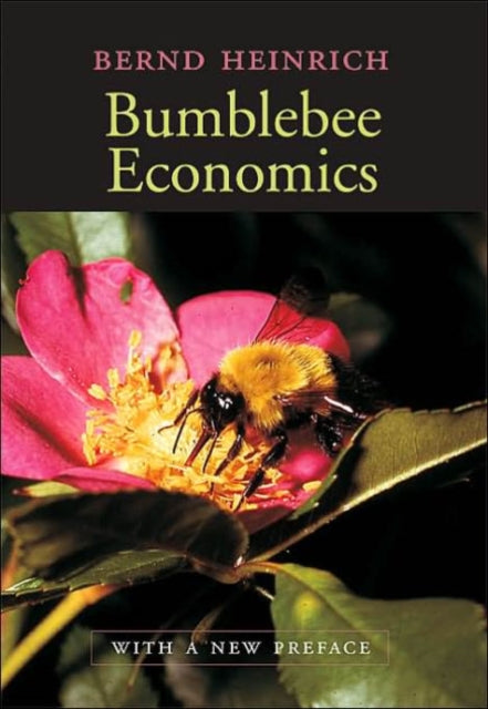 Book cover of: Bumblebee Economics