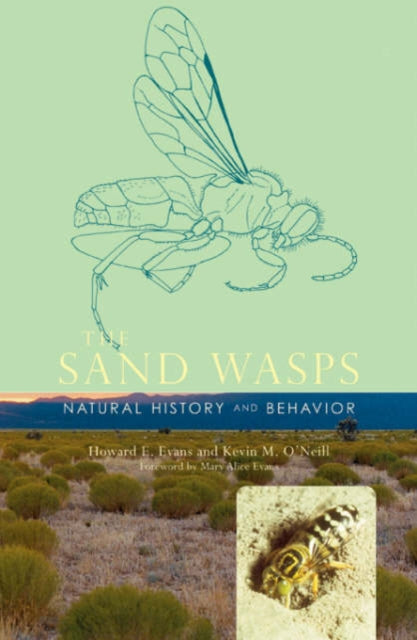 Book cover of: Sand Wasps. By: Howard E. Evans - undifferentiated, Howard Ensign Evans