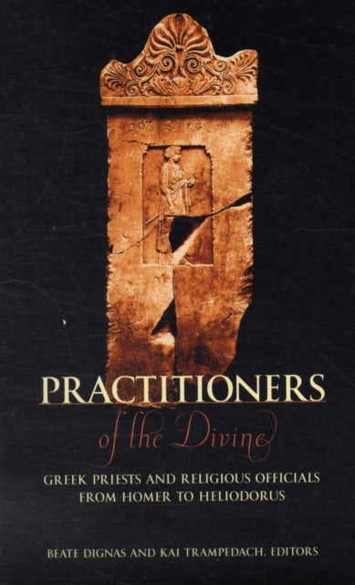Book cover of: Practitioners of the Divine