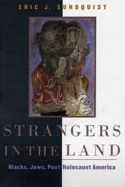 Book cover of: Strangers in the Land. By: Eric J. Sundquist