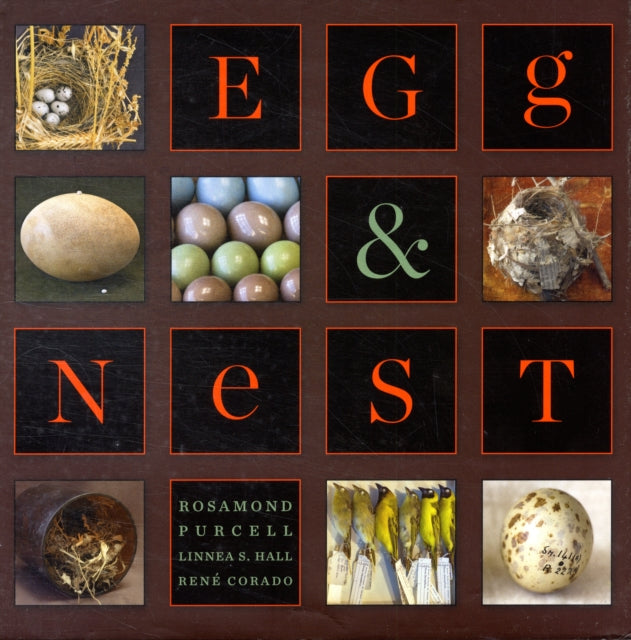 Book cover of: Egg & Nest. By: Rosamond Wolff Purcell