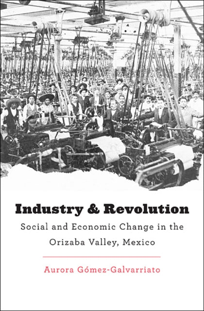 Book cover of: Industry and Revolution