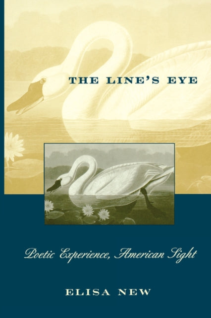 Book cover of: Line’s Eye. By: Elisa New