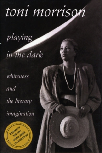Book cover of: Playing in the Dark