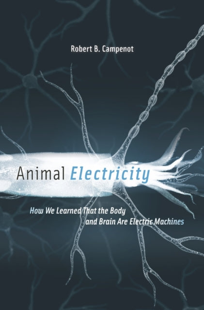 Book cover of: Animal Electricity. By: Robert B. Campenot