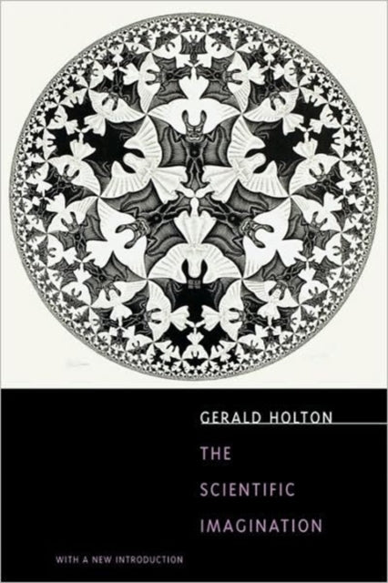 Book cover of: Scientific Imagination