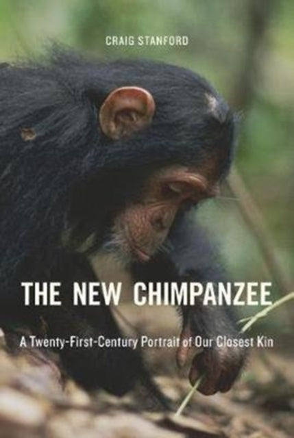 Book cover of: New Chimpanzee. By: Craig B. Stanford