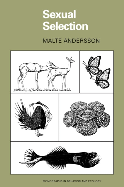 Book cover of: Sexual Selection