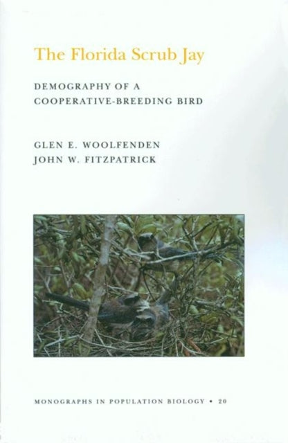Book cover of: Florida Scrub Jay. By: Glen Everett Woolfenden