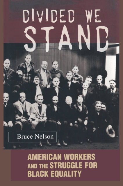 Book cover of: Divided We Stand